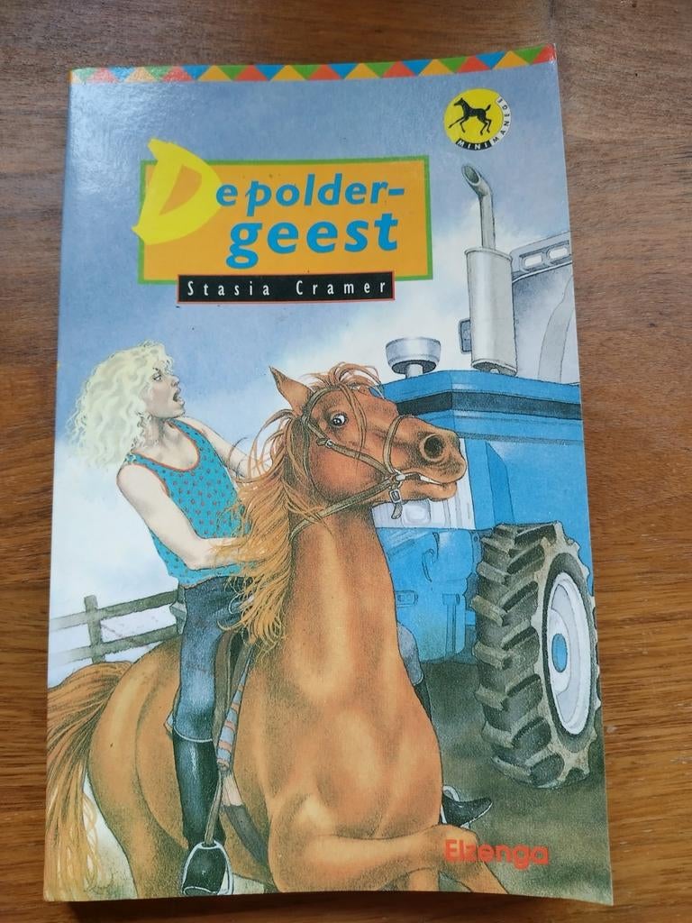 Stasia Cramer - De poldergeest, Enlèvement ou Envoi, Utilisé, Stasia Cramer, Fiction général