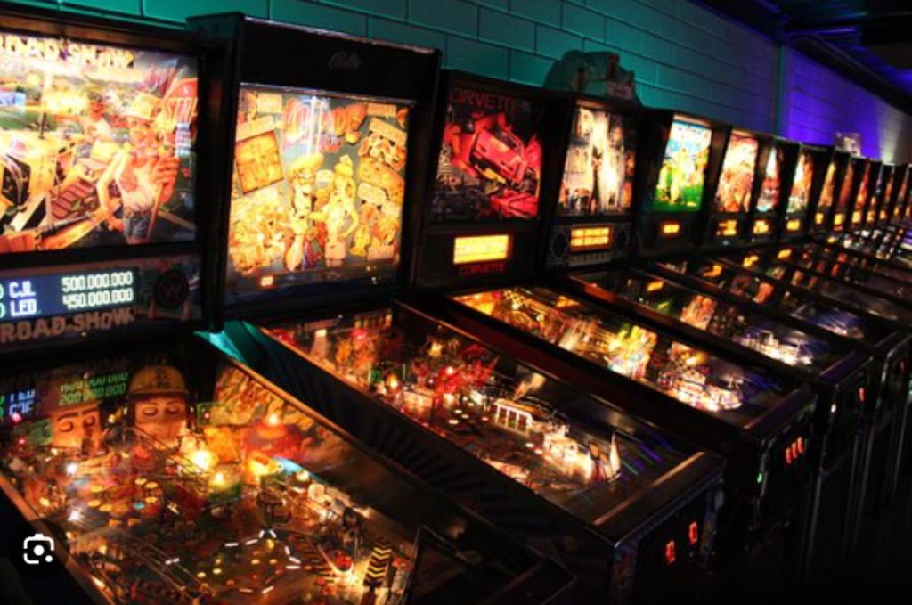 Flipper recherché, Enlèvement, Utilisé, Flipper (jeu)