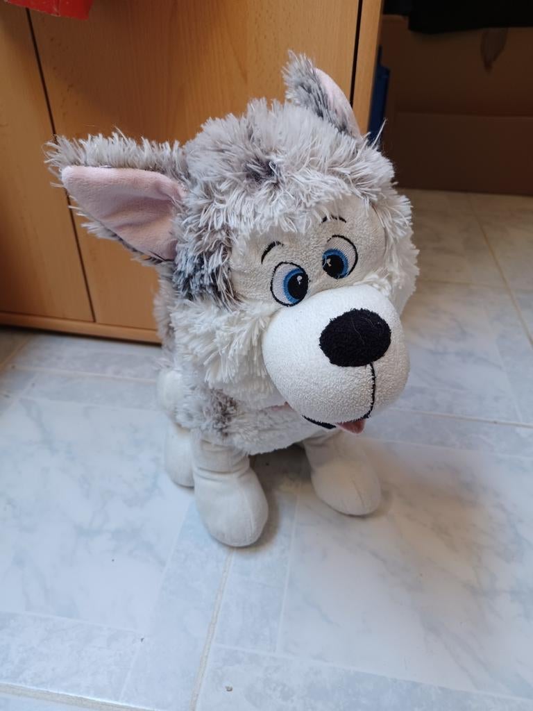 Husky knuffel, Ophalen of Verzenden, Zo goed als nieuw, Hond