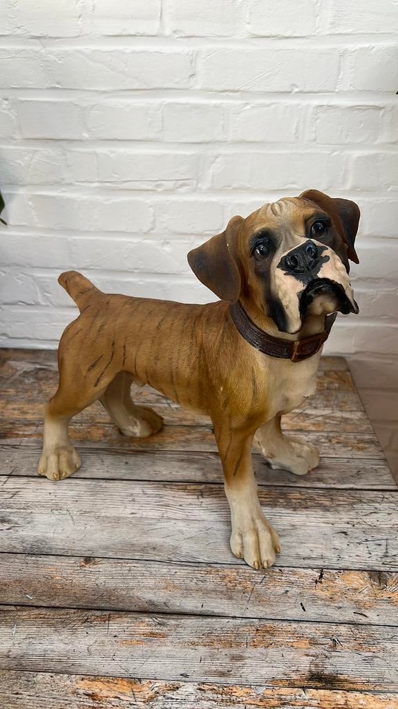 Beeld boxer hond, Ophalen of Verzenden, Gebruikt, Dier