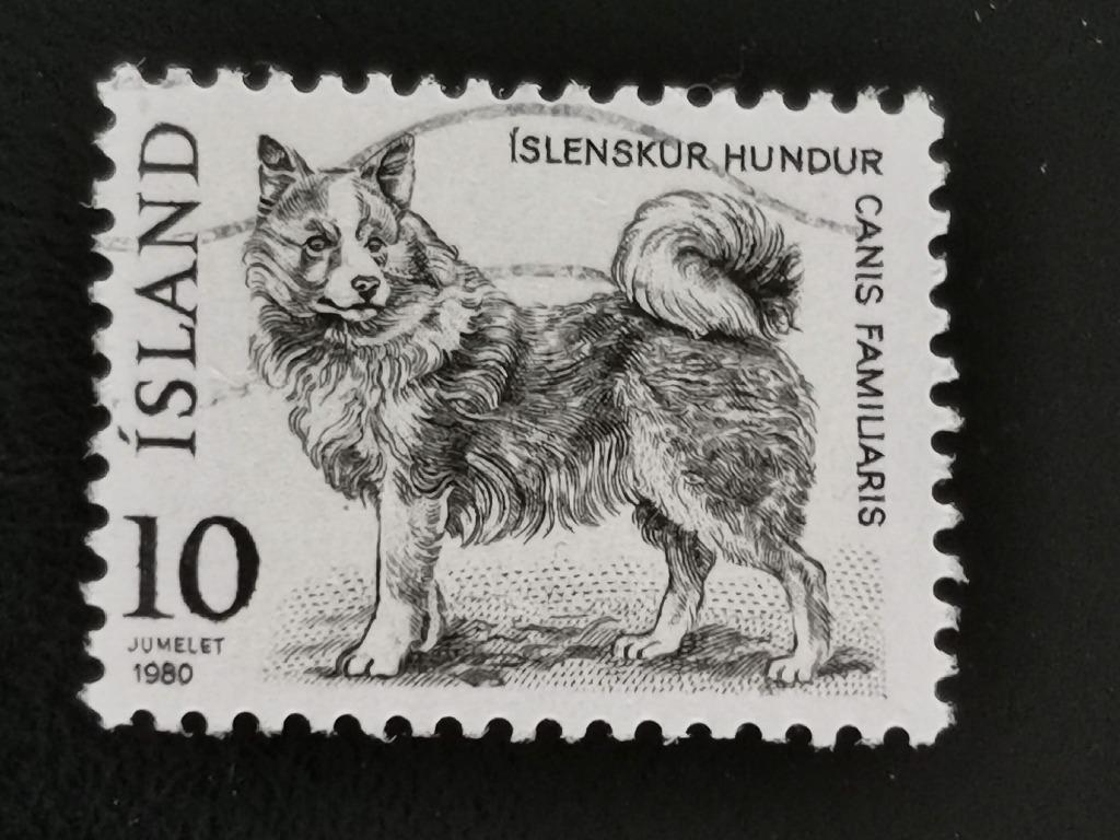 Ijsland 1980 - dieren - Ijslandse hond, Postzegels en Munten, Postzegels | Europa | Scandinavië, Ophalen of Verzenden, IJsland