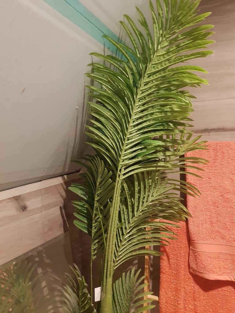 Kunstplant, Enlèvement