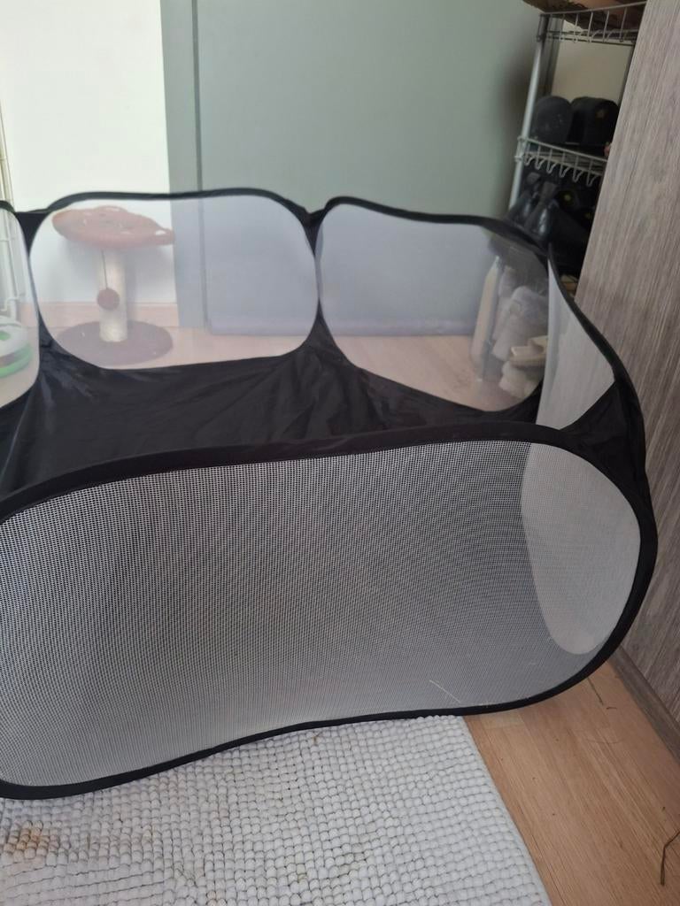 Ren voor Konijn/kitten,.., Ophalen