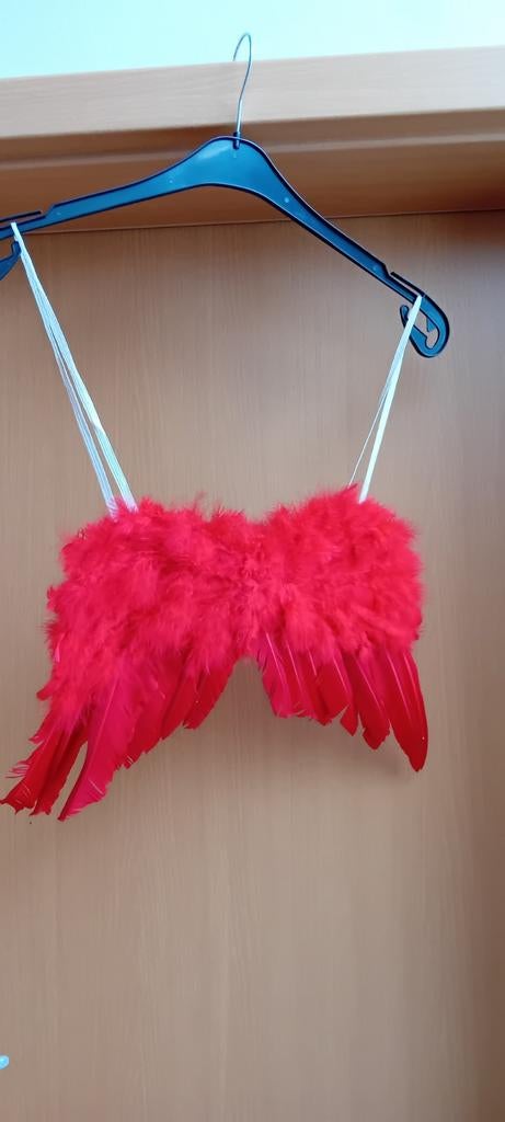 Déguisement ailes rouges en plumes, Hobby & Loisirs créatifs, Enlèvement ou Envoi, Utilisé, Costume