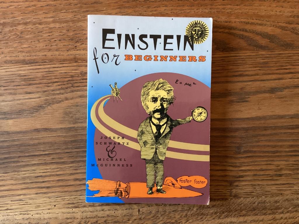 Einstein for beginners, Boeken, Natuurwetenschap, Joseph Schwartz, Ophalen, Gelezen
