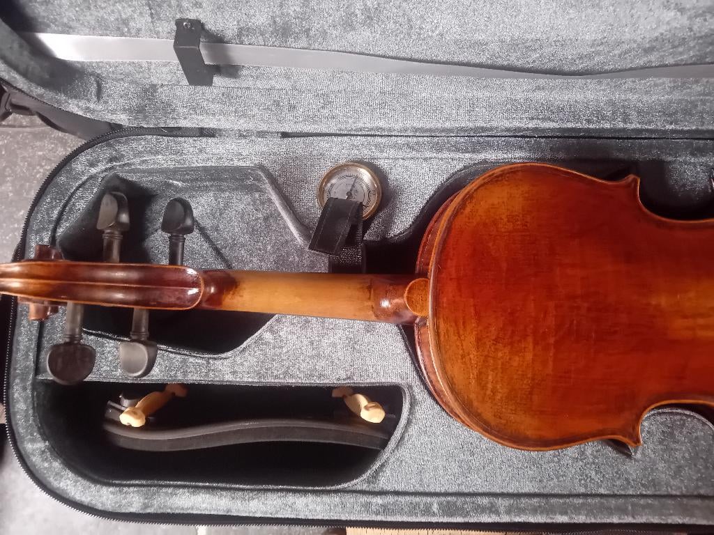 Stentor verona 4/4 viool als nieuw, Muziek en Instrumenten, Strijkinstrumenten | Violen en Altviolen, Ophalen, Viool, Zo goed als nieuw