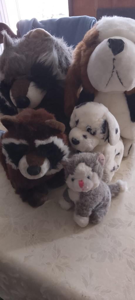 knuffels dieren, Ophalen, Gebruikt
