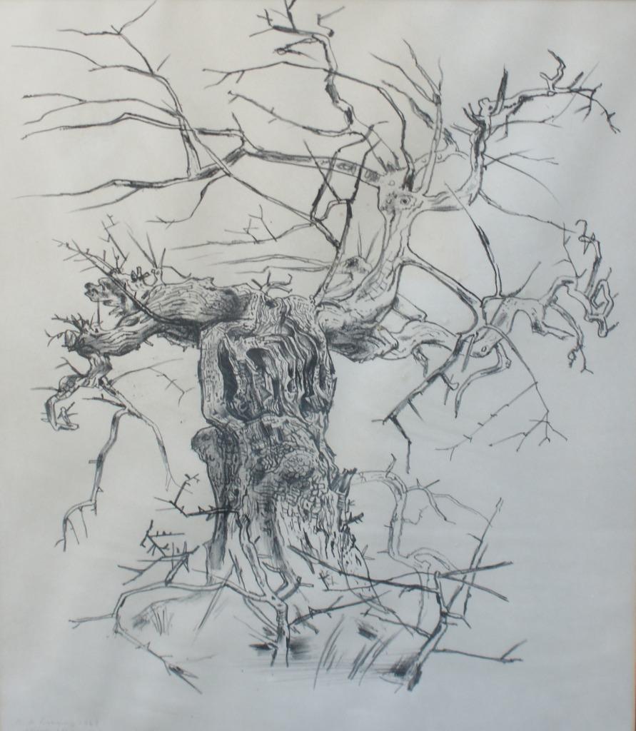 René De Lannoy (1907-1985): Olijfbomen Provence (65 x 81 cm), Antiquités & Art, Art | Lithographies & Sérigraphies, Enlèvement