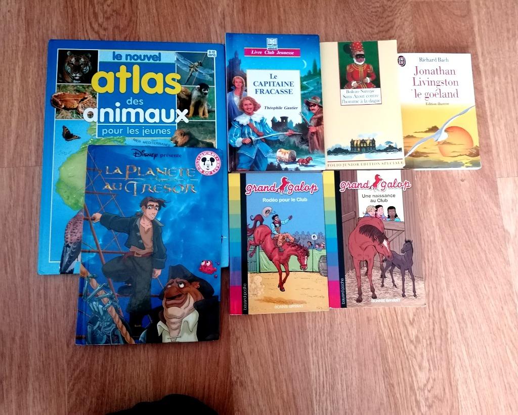 Lot de 7 livres pour enfants de 6 à 13 ans, Livres, Enlèvement, Utilisé, Non-fiction, Disney