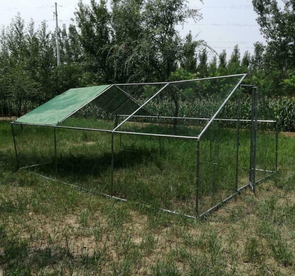 Poulailler 24m² enclos parc poule 6x4x2,80m chatiere voliere, Envoi, Neuf, Poulailler