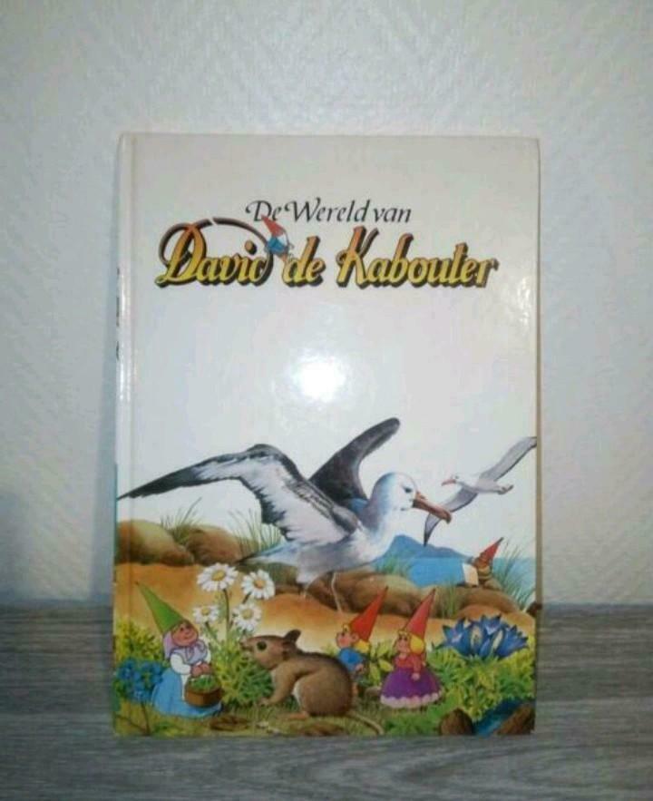 ❤ David de kabouter 🍄, Ophalen of Verzenden