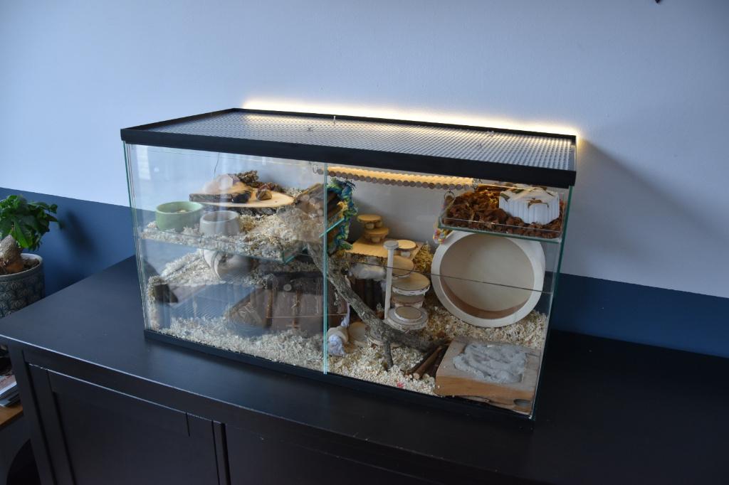Gerbilarium / gerbil terrarium met schuifruiten, Dieren en Toebehoren, Knaagdieren en Konijnen | Hokken en Kooien, Nieuw, Hok