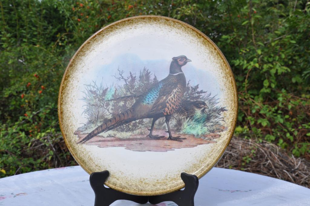 §  plat en faience decor faisan, Enlèvement ou Envoi