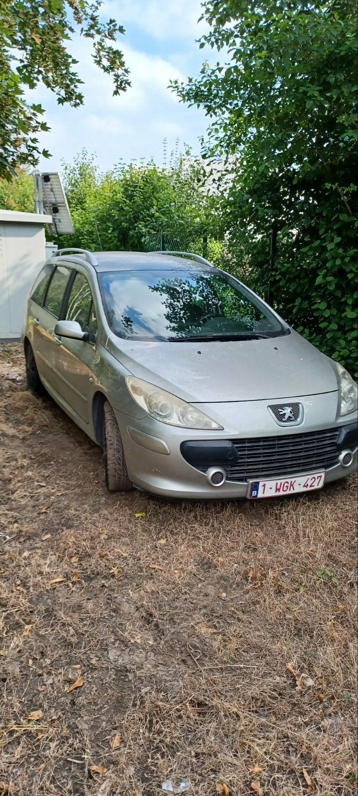 peugeot 307, Auto's, Voorwielaandrijving, 745 kg, Stof, Beige