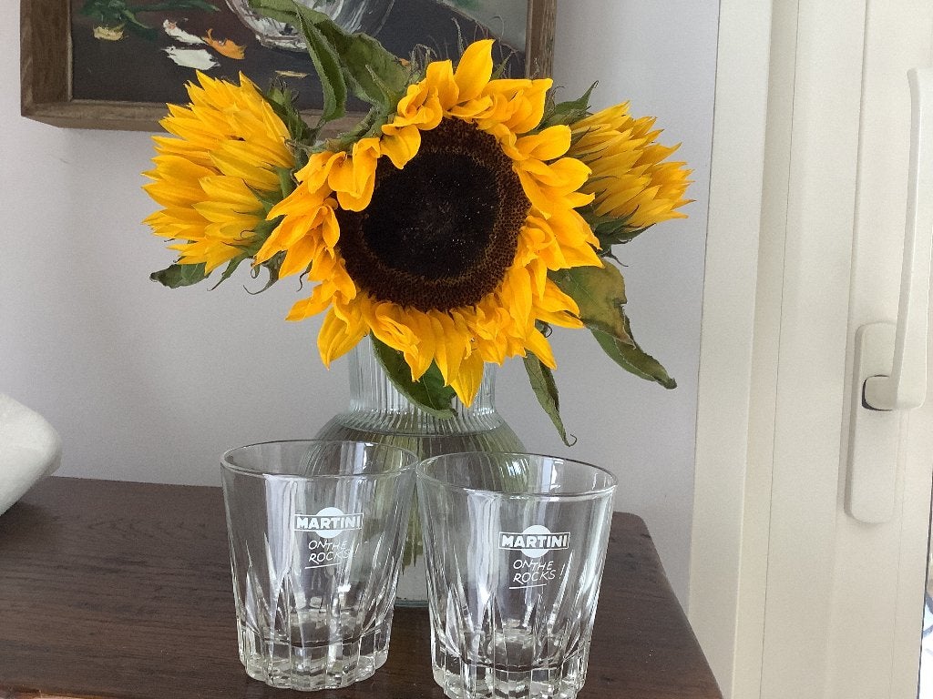 Martiniglazen, Verzamelen, Glas en Drinkglazen, Ophalen of Verzenden, Zo goed als nieuw, Overige typen