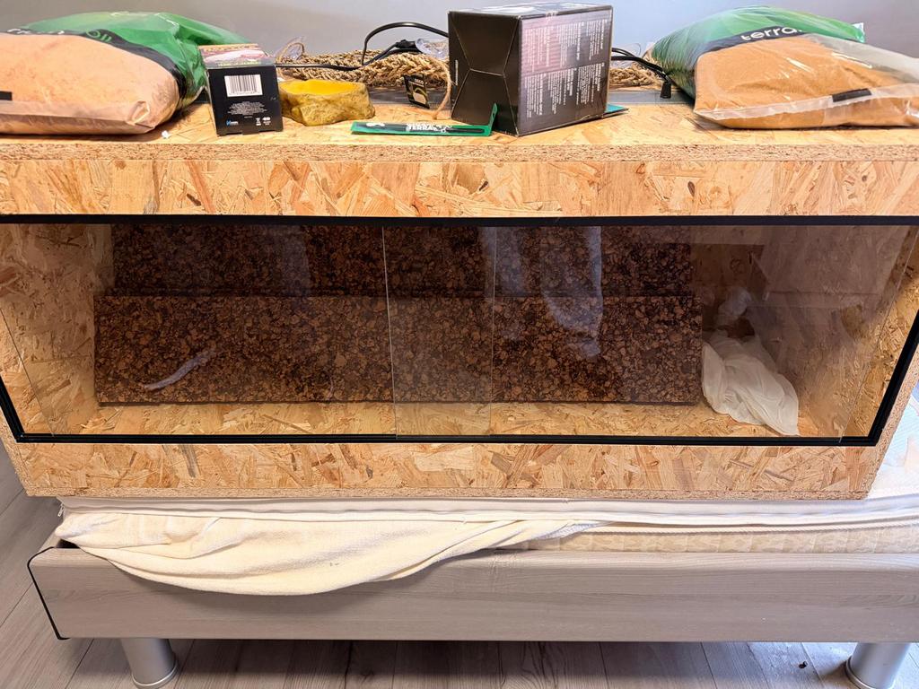 Terrarium, Dieren en Toebehoren, Ophalen, Nieuw, Terrarium of Paludarium