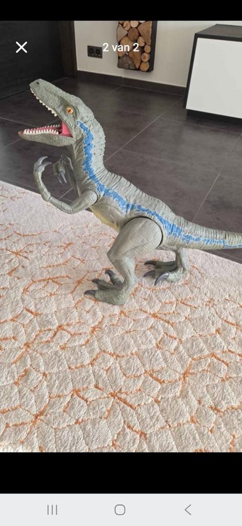 Veliceraptor 60 cm, Ophalen