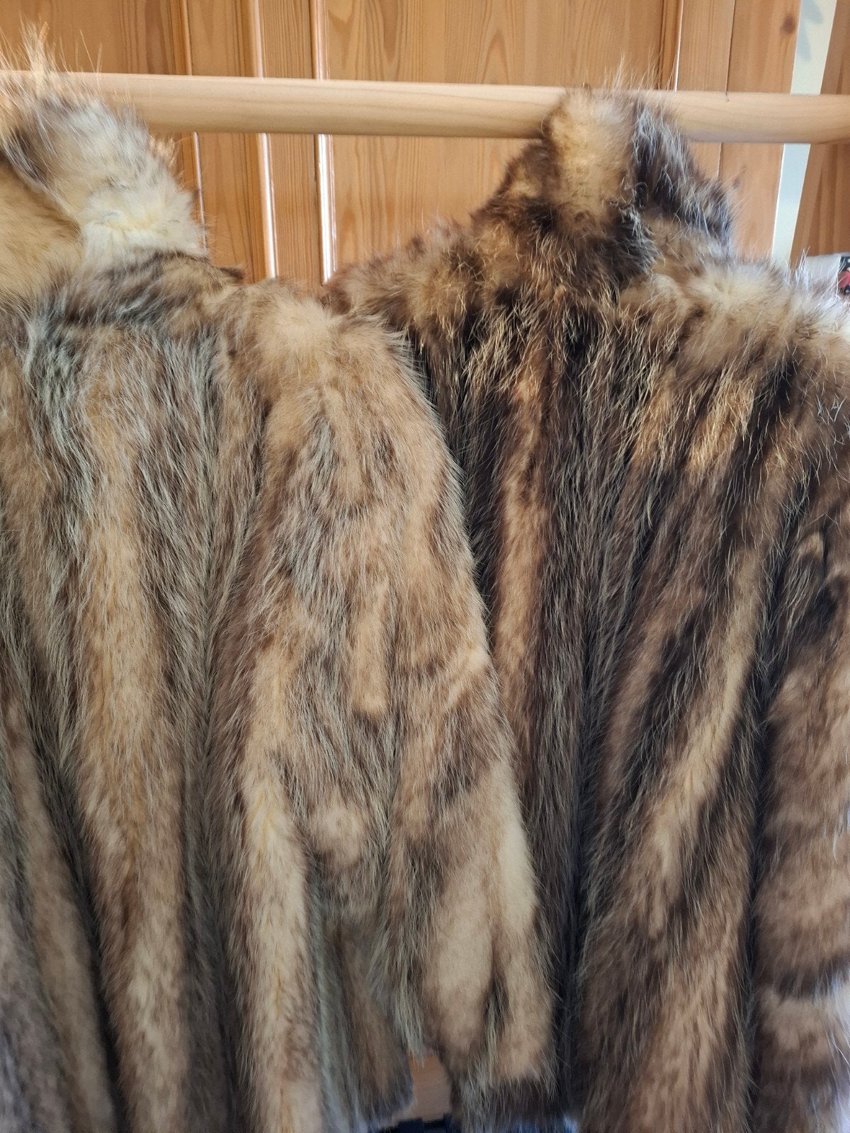 Korte jassen Opossum pels, Enlèvement, Comme neuf, Taille 46/48 (XL) ou plus grande, Brun