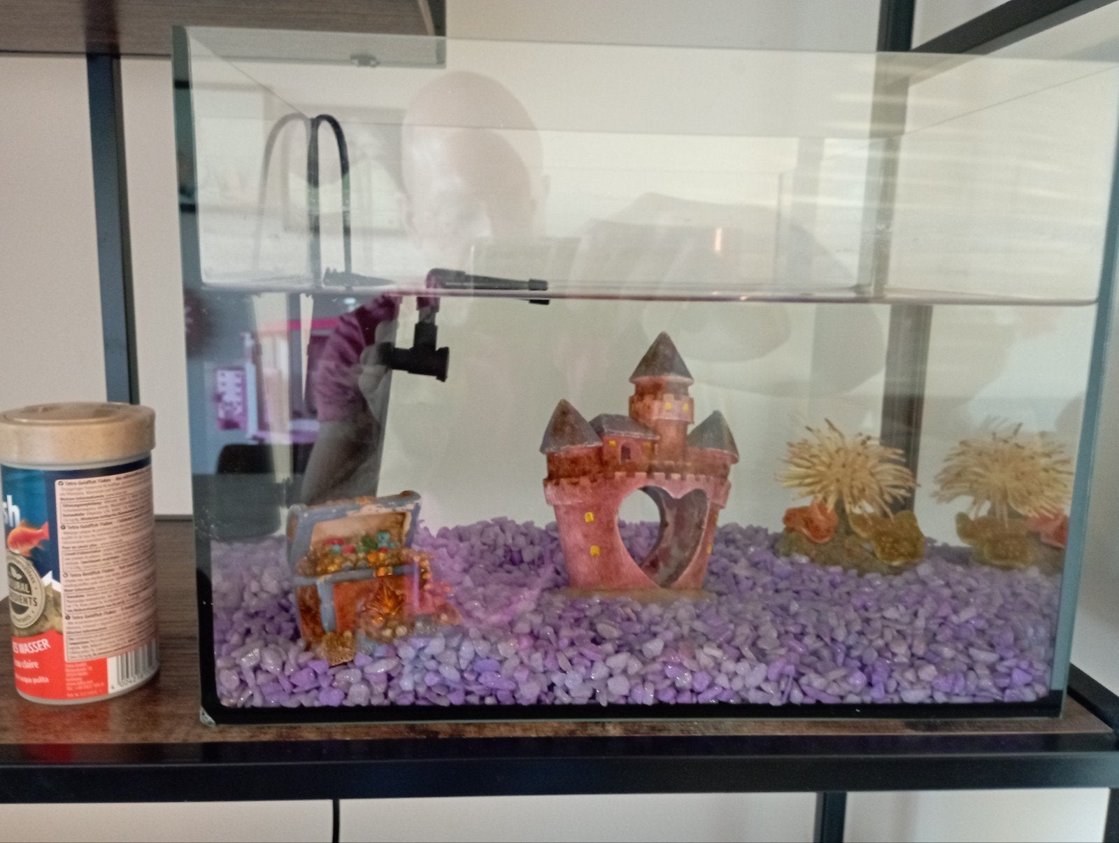 Aquarium met filter, Dieren en Toebehoren, Ophalen, Filter