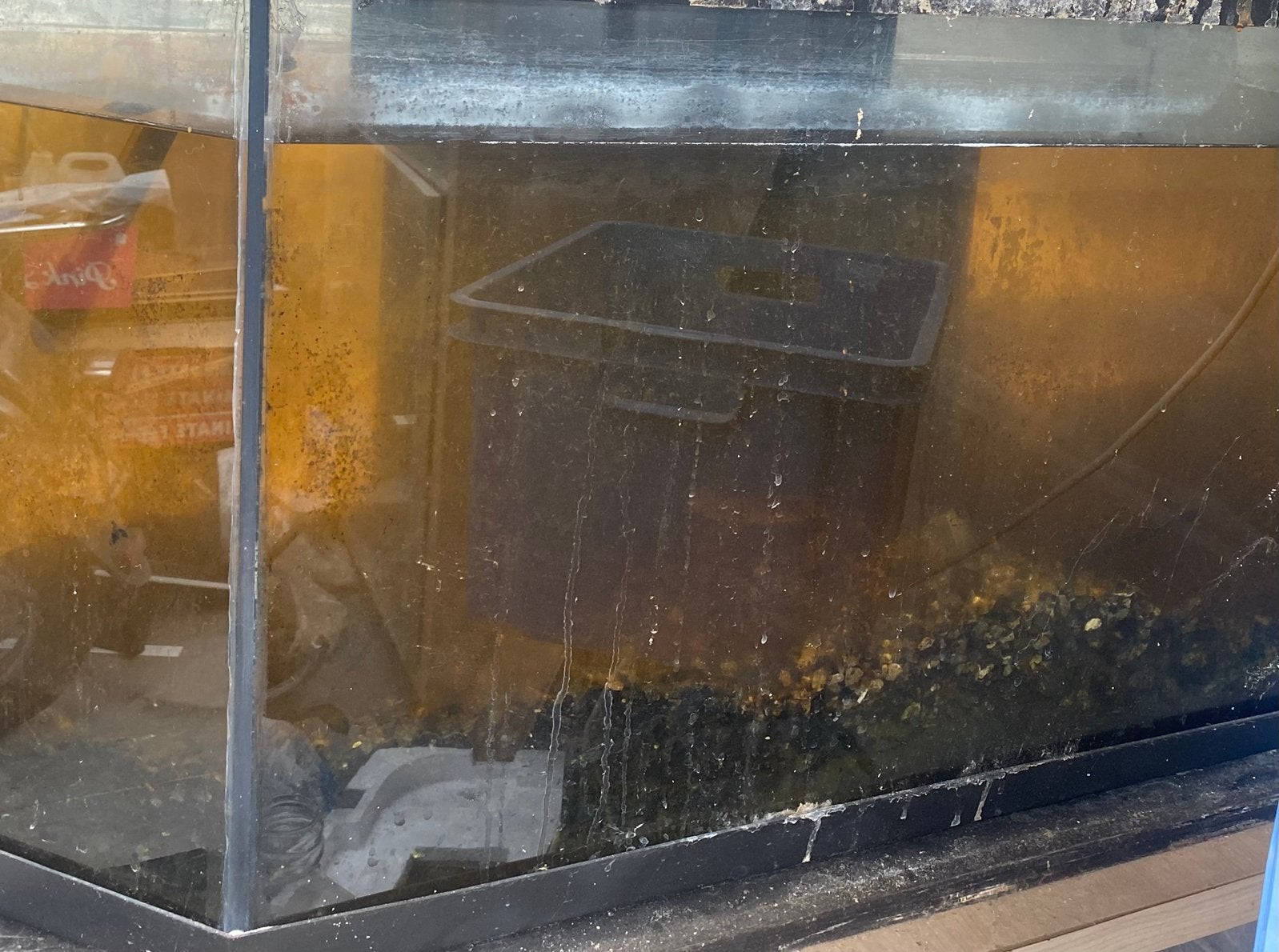 Aquarium 100x50x60, Ophalen, Gebruikt