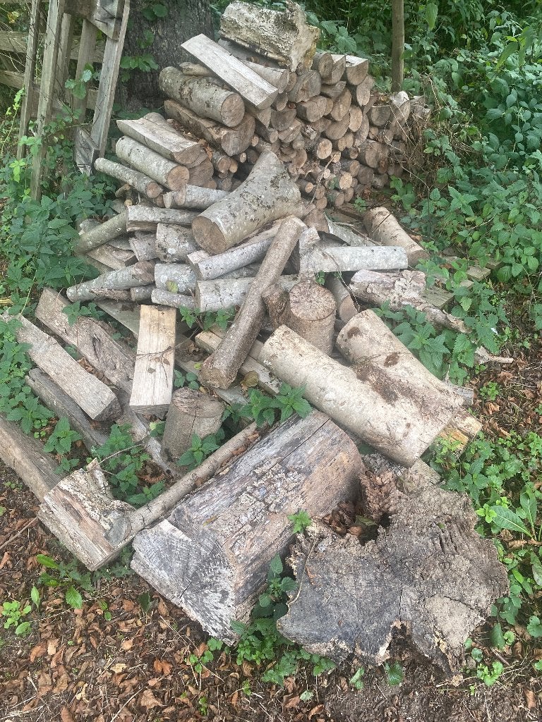 Bois de chauffage, Enlèvement, Frêne, Bûches