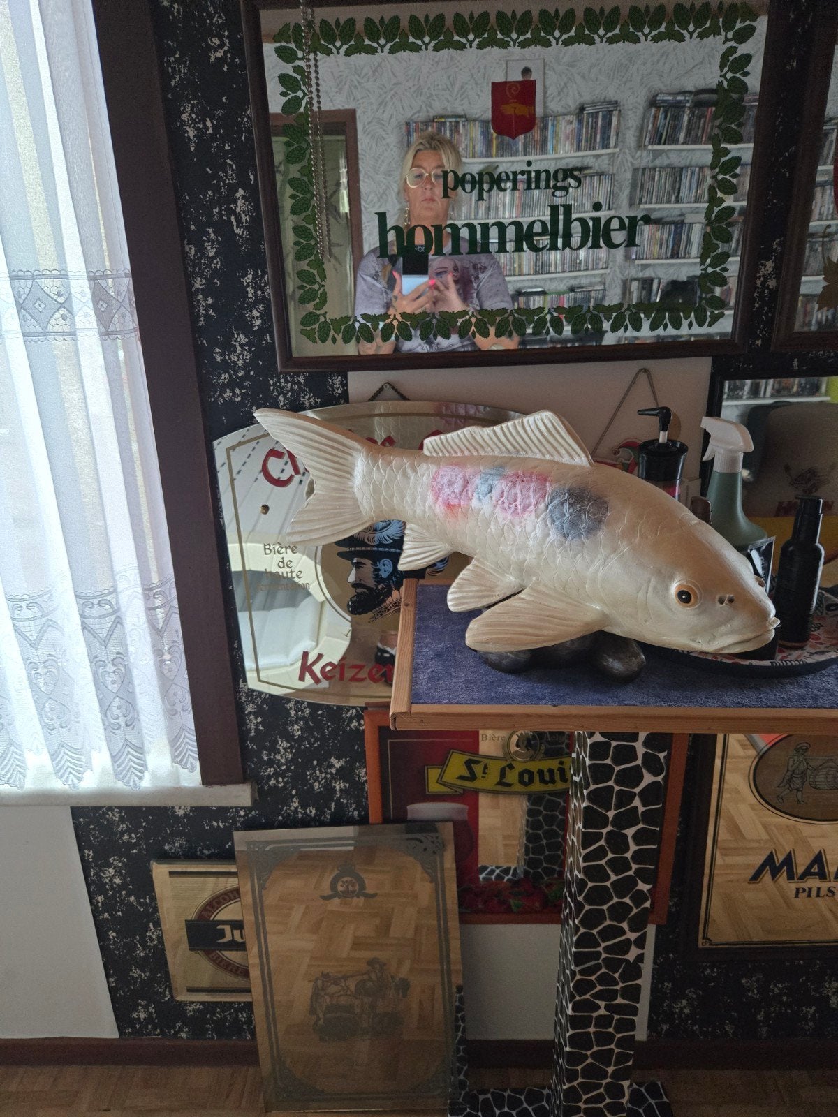 koi vis steen, Ophalen