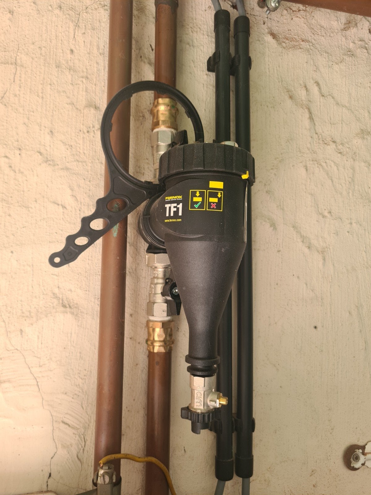 Fernox, Enlèvement