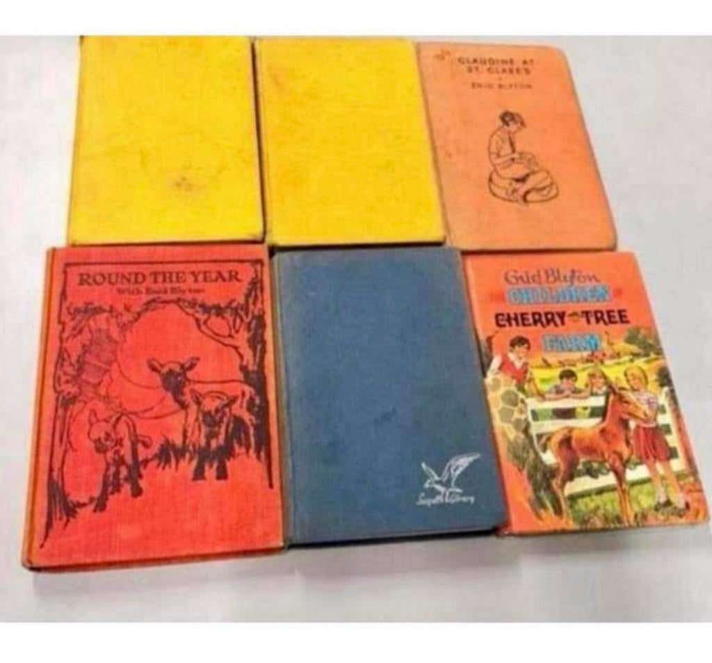 6 Hardcover boek Enid Blyton, dog stories, the boy next door, Ophalen of Verzenden, Zo goed als nieuw