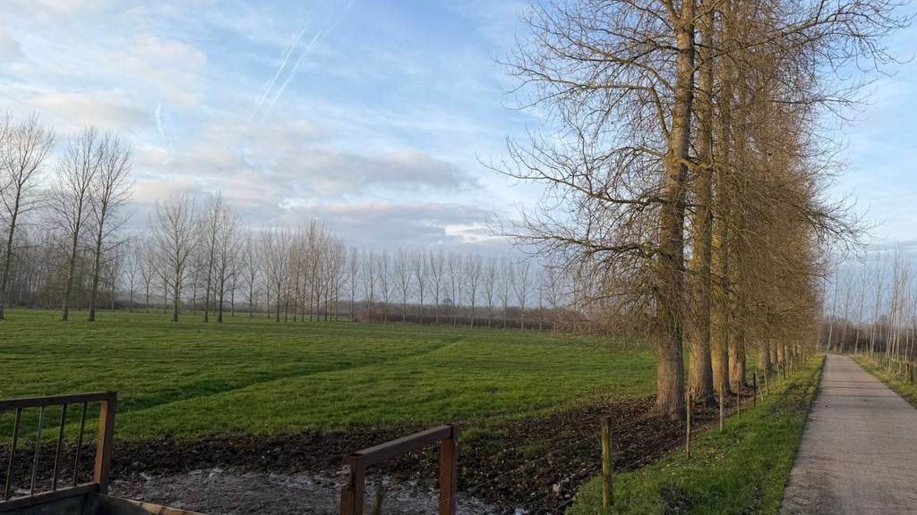 Weiland te koop van 3,28ha in Zoutleeuw (Helen-Bos), Immo, Zoutleeuw, Verkoop zonder makelaar, 1500 m² of meer
