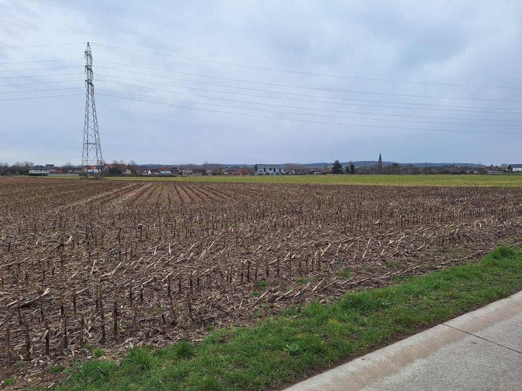 Landbouwgrond, Leuven, Ventes sans courtier, 1500 m² ou plus
