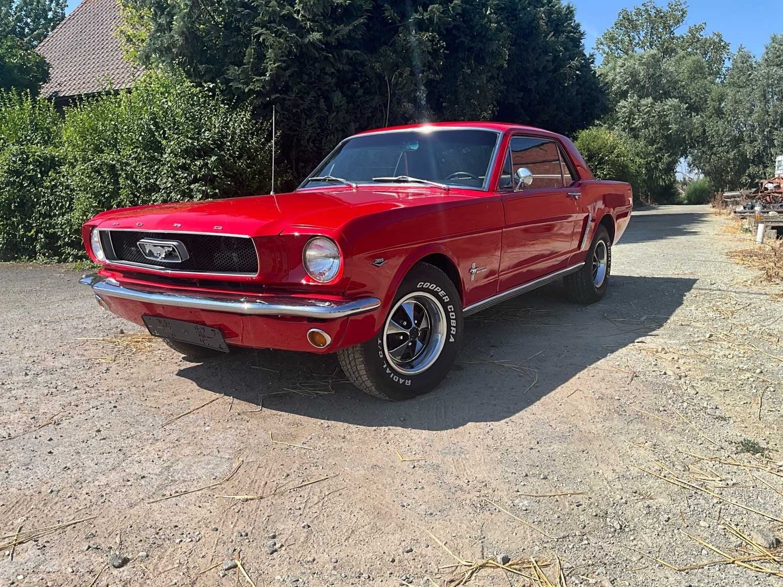 1965 Ford Mustang Coupé Voiture, Achat, Entreprise, Autre carrosserie, Automatique