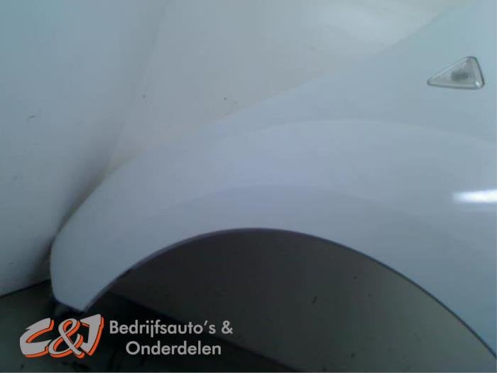Aile avant gauche d'un Renault Kangoo (0389), Renault, -, 3 mois de garantie, Utilisé