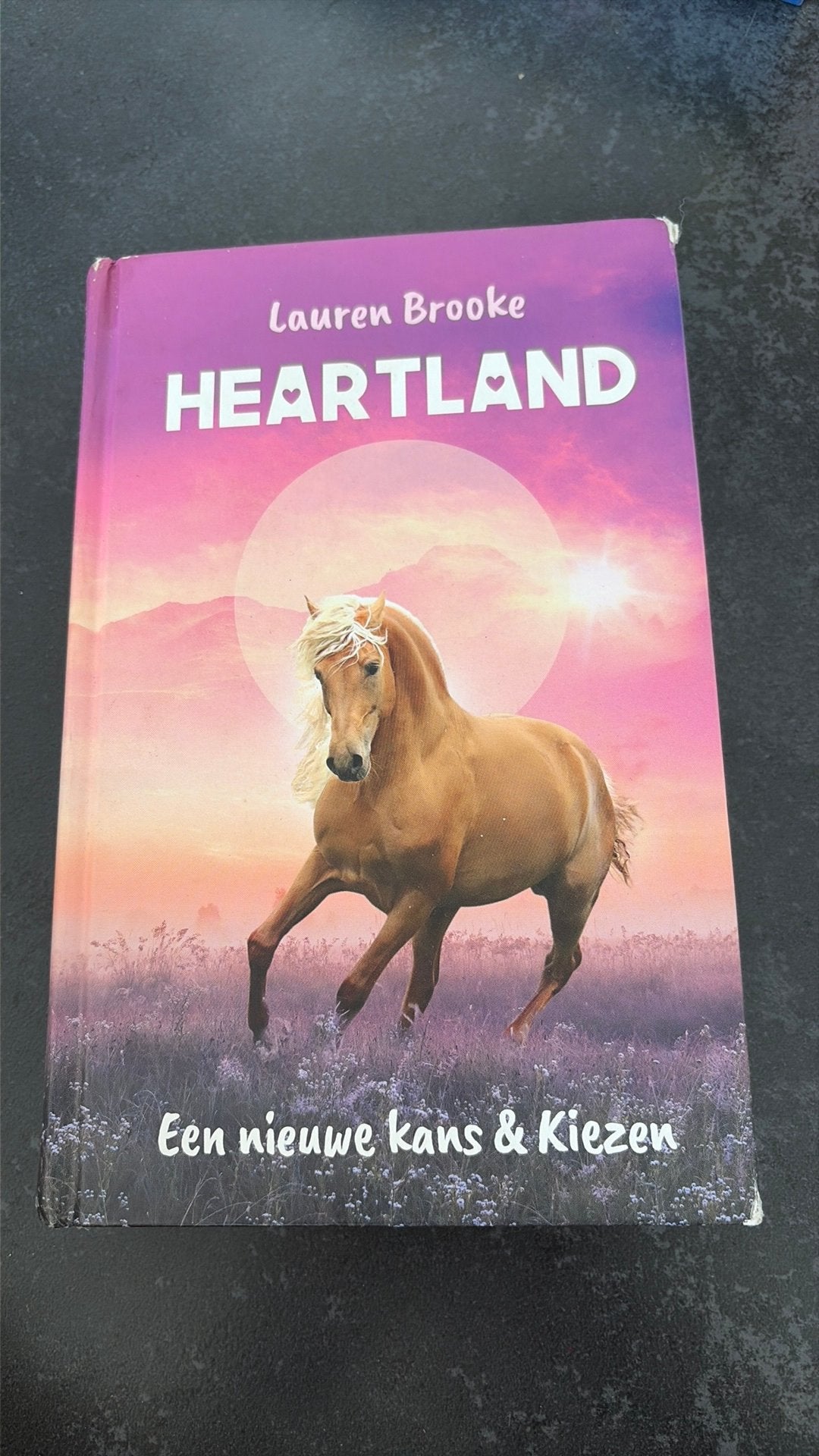 Leesboek Heartland ~ Een nieuwe kans & kiezen, Boeken, Ophalen, Gelezen, Paarden of Pony's