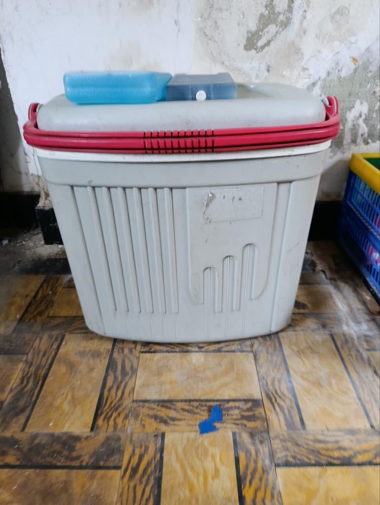 Frigo box en 2 koelelementen, Enlèvement