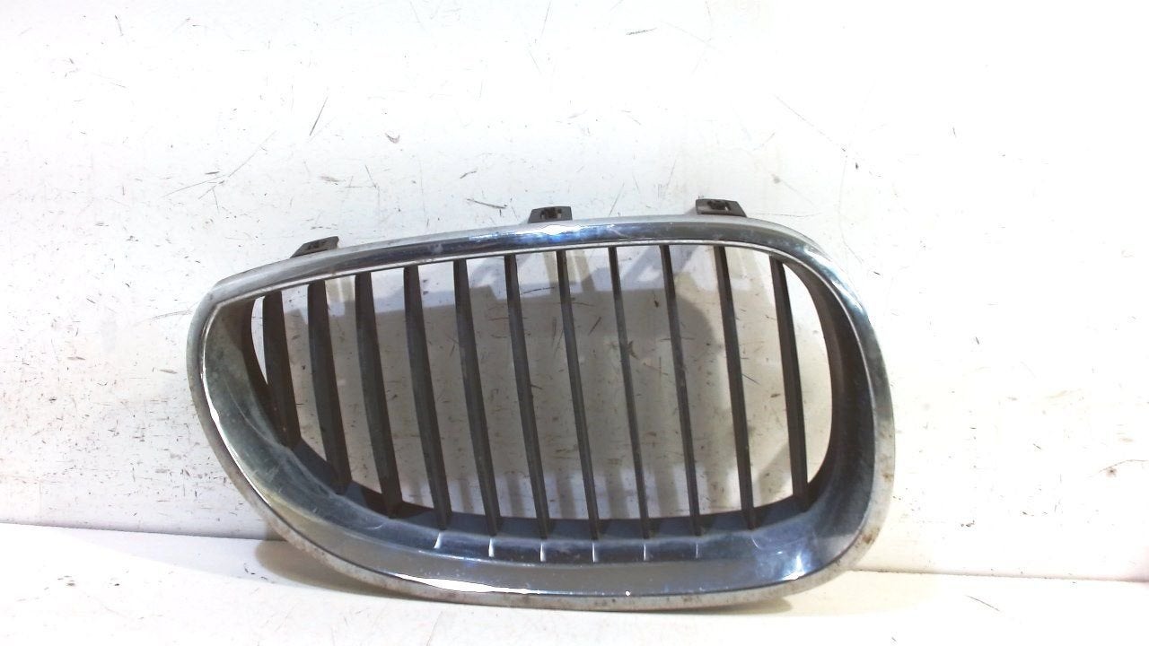 Grille BMW 5 serie, Onderdelen@venauto.nl, Van der Ven Autorecycling B.V., Gebruikt, Ettenseweg 76, 4706 PB Roosendaal, The Netherlands