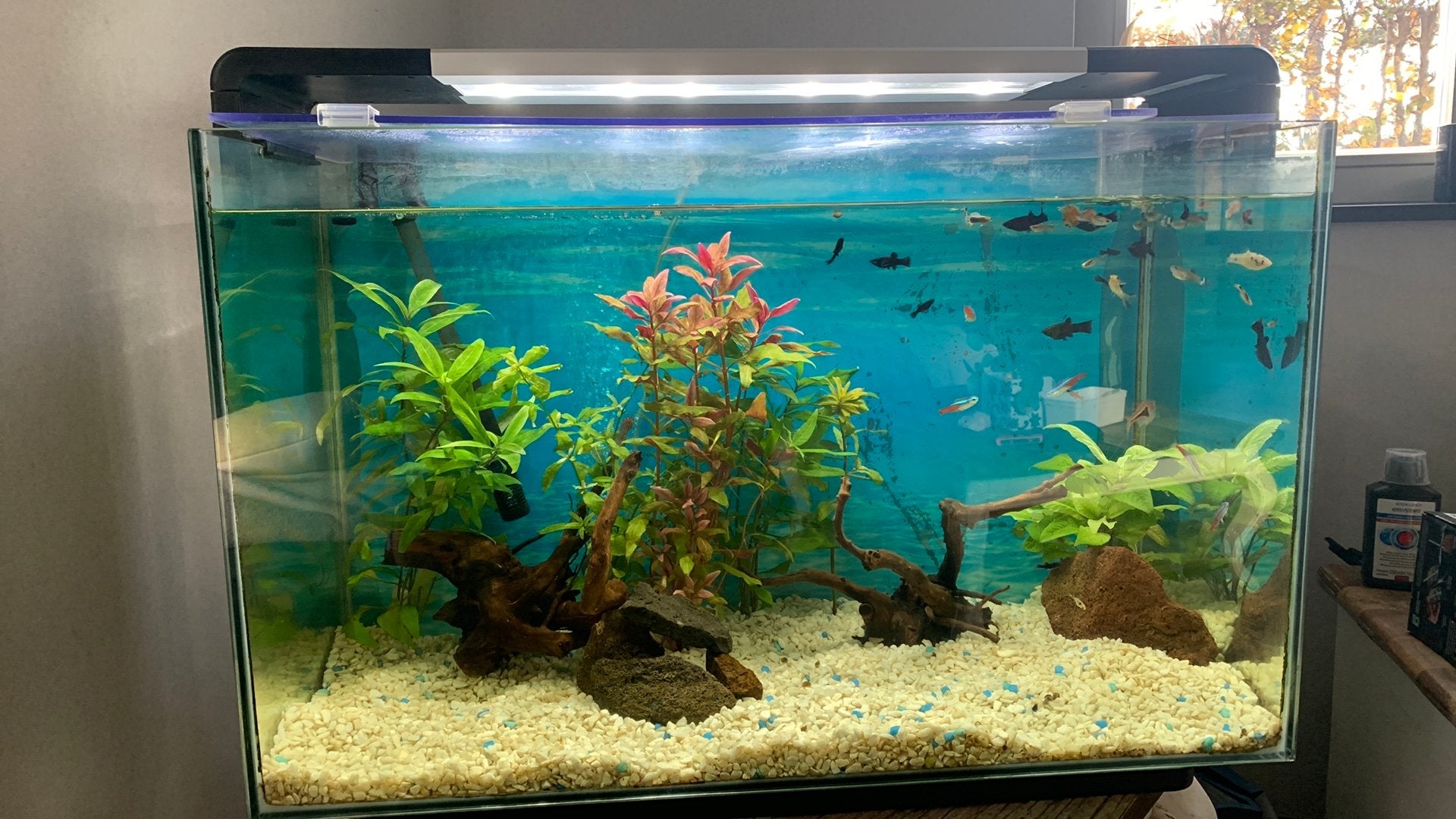 Superfish aquarium 110l., Enlèvement, Comme neuf, Filter, Superfish