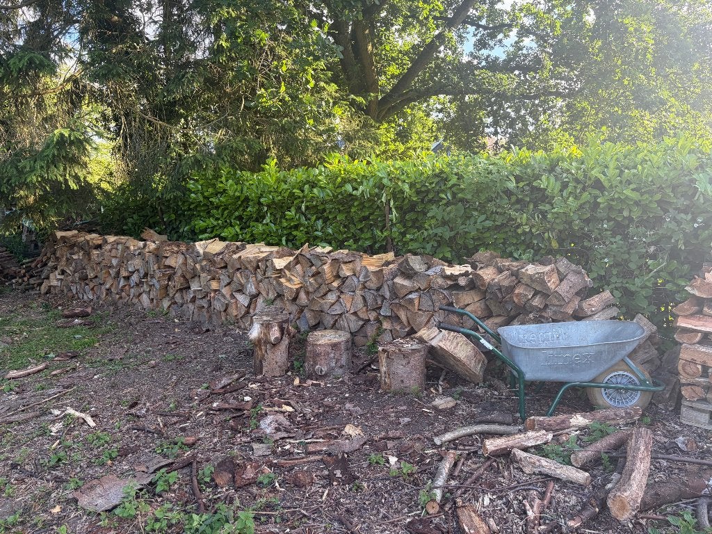 BOIS DE CHAUFFAGE SAPIN SEC – 60 €/STÈRE, Jardin & Terrasse, Bois de chauffage, Bûches, Autres essences de bois, Enlèvement