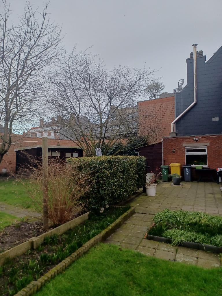 grande maison à rénover, Turnhout, Arendonk, 500 à 1000 m², Ventes sans courtier
