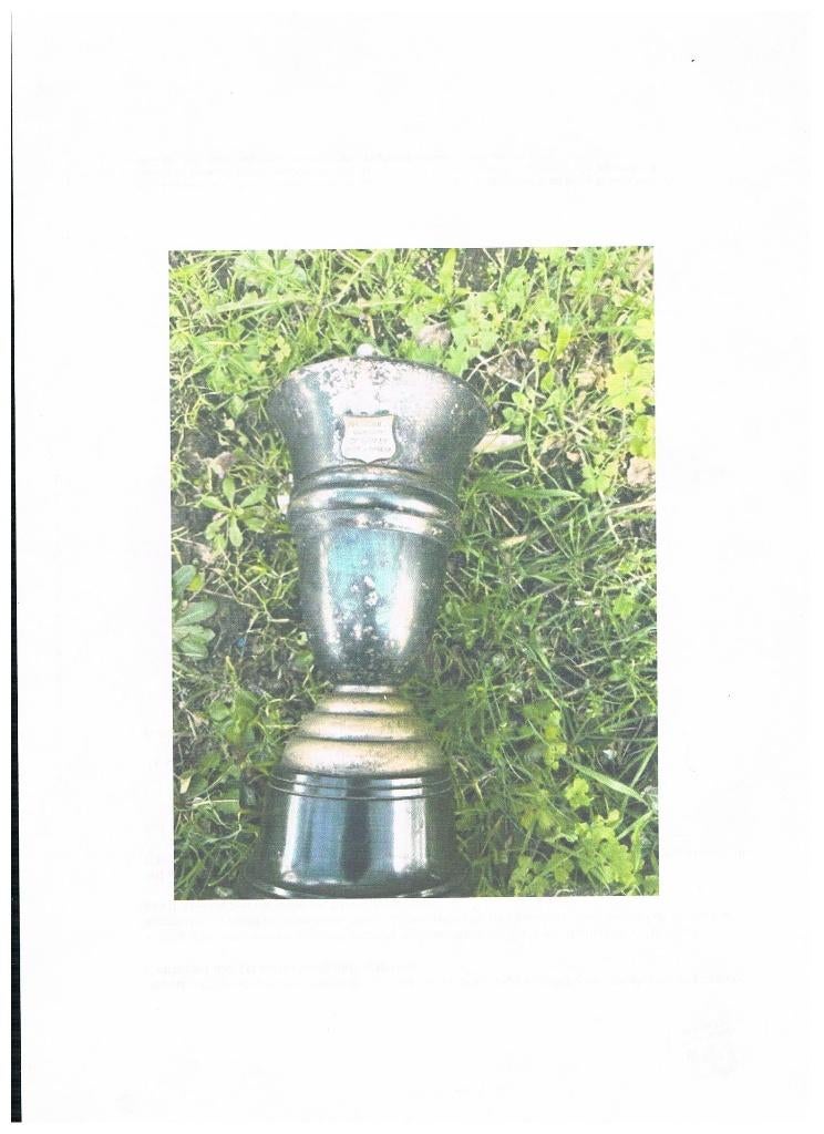 BROUWERIJ RODEA OUDE TROFEE BEKER, Verzenden, Gebruikt, Overige typen