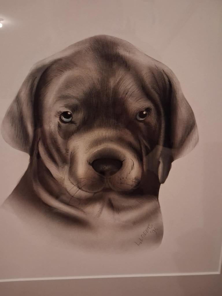 mooi schilderij hond, Antiek en Kunst, Ophalen