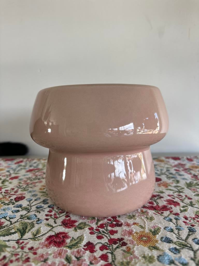 Pots de plantes, Maison & Meubles, Accessoires pour la Maison | Vases, Enlèvement, Comme neuf