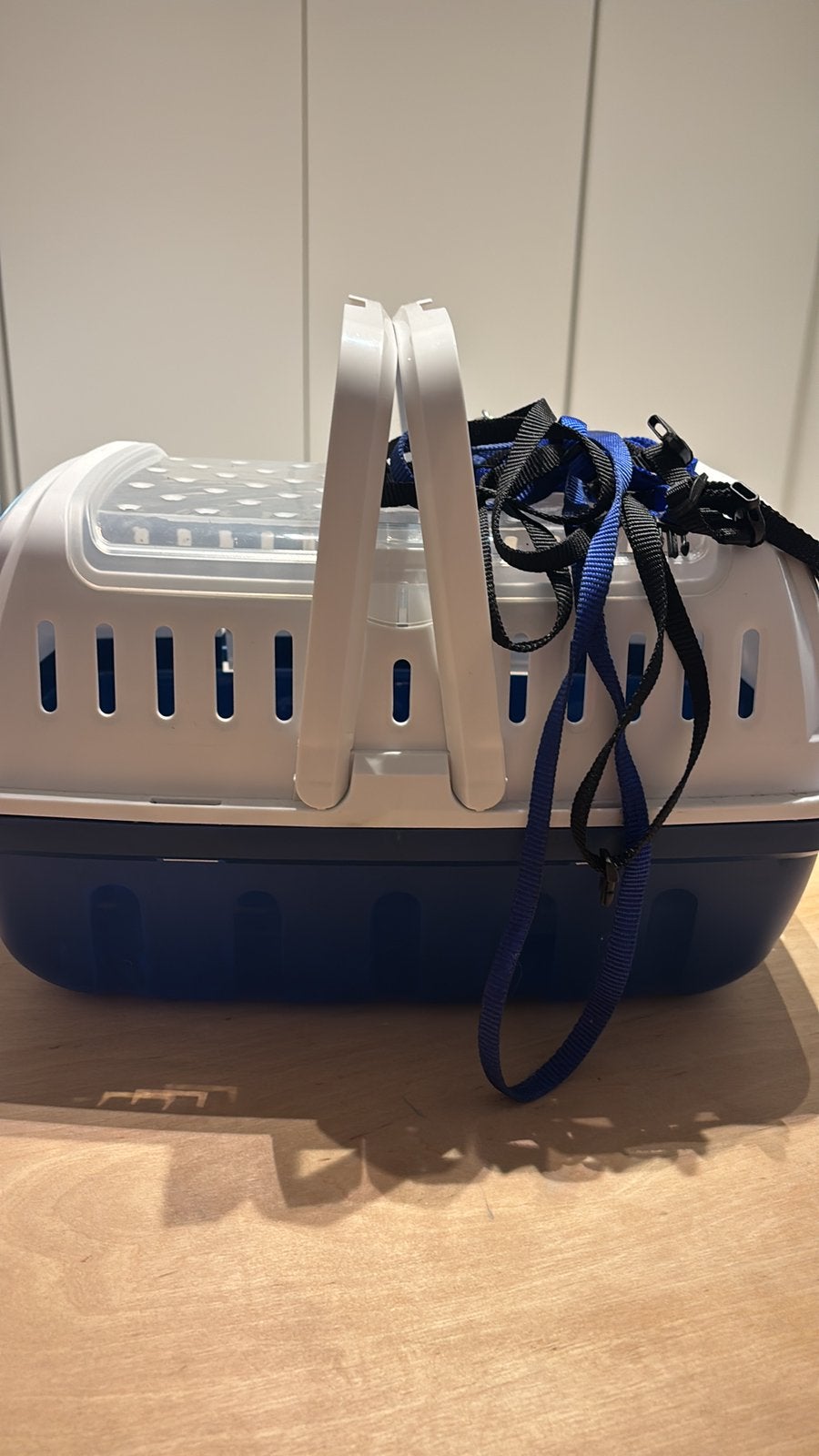 Draagberry en 2 leibanden konijn, Animaux & Accessoires, Lapins, Taille moyenne