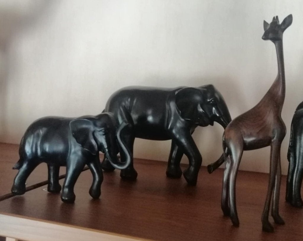 Setje wilde dieren deco, Ophalen