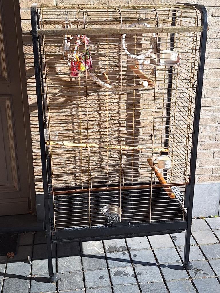 Kooi voor papegaai of parkiet, Enlèvement, Utilisé, Métal, Cage à oiseaux