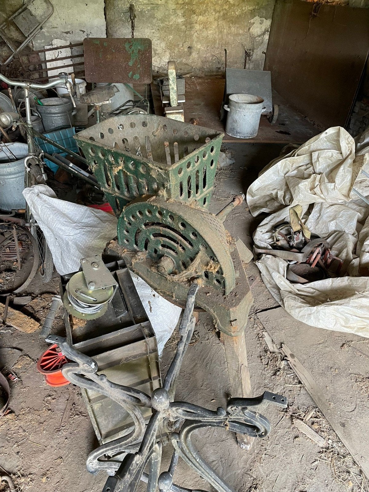 Beetenmolen cherche un endroit agréable.