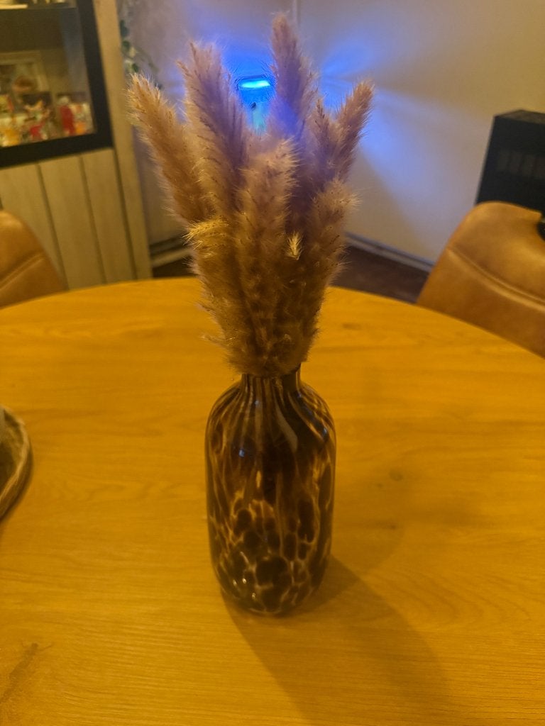 Kleine pampas met vaas, Ophalen, Nieuw