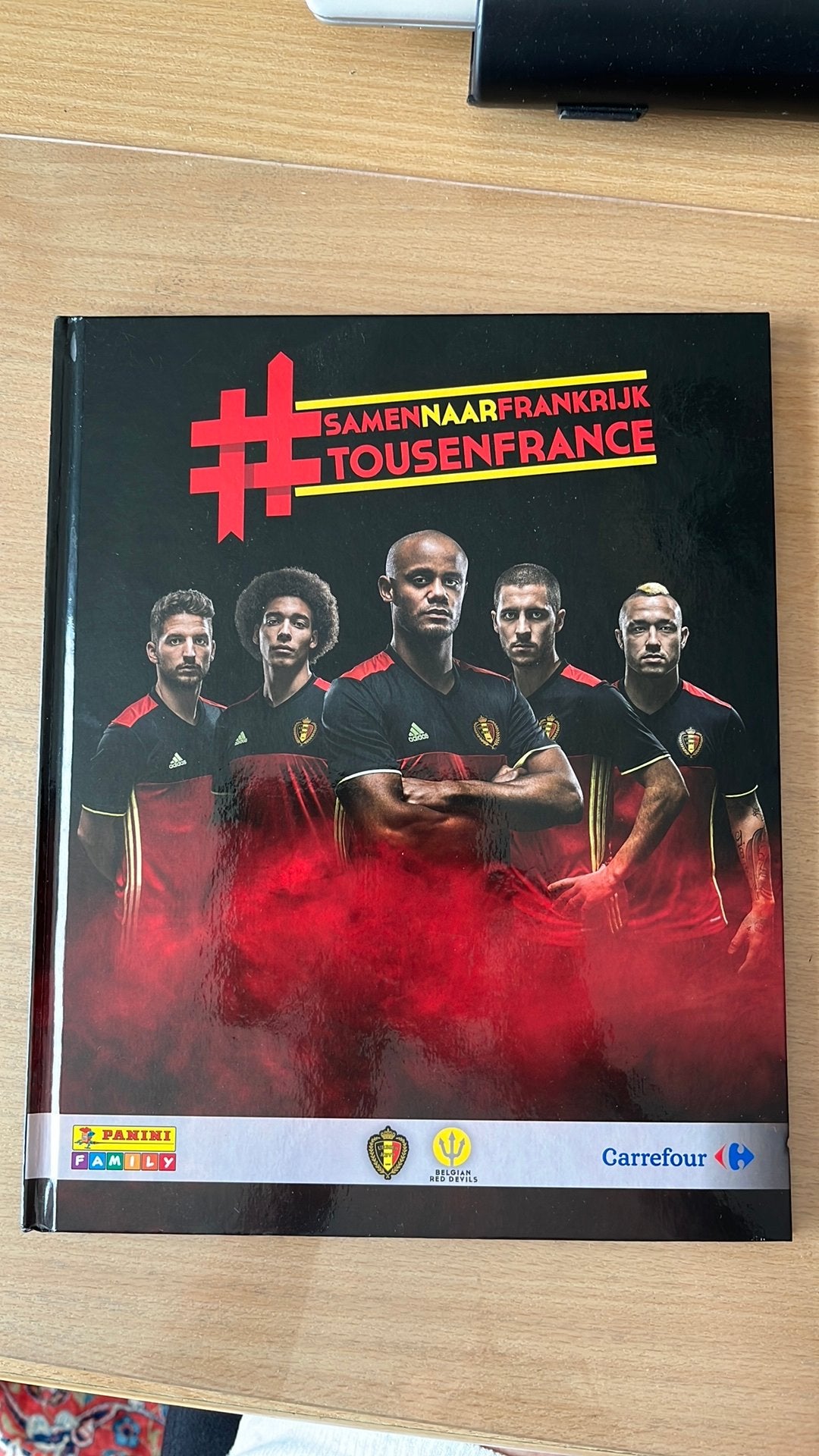 Panini stickerboek ( volledig), Verzamelen, Ophalen of Verzenden, Zo goed als nieuw