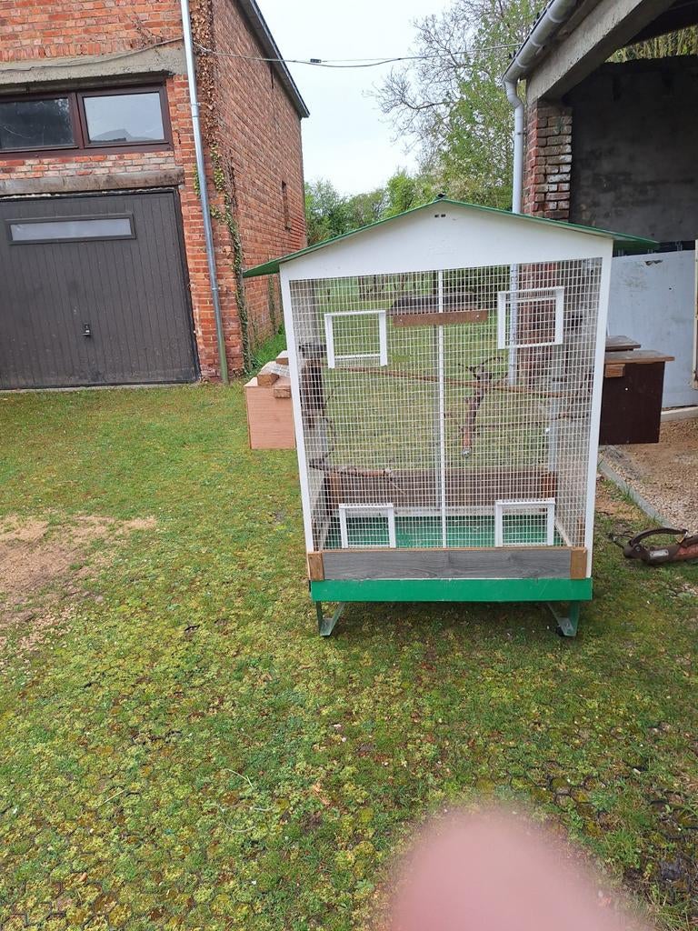 Kooi parkieten, Dieren en Toebehoren