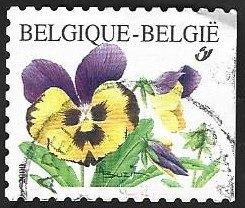 1 Postzegel Viooltje België 2000, Enlèvement ou Envoi, Affranchi, Timbre-poste, Autre