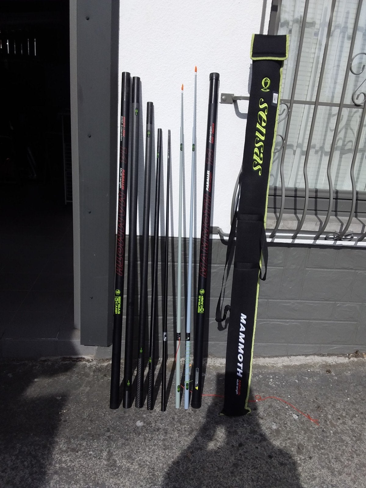canne sensas mammoth 10m   pour carpes, Enlèvement